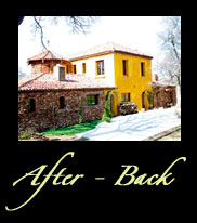 After DeKonnick Back
